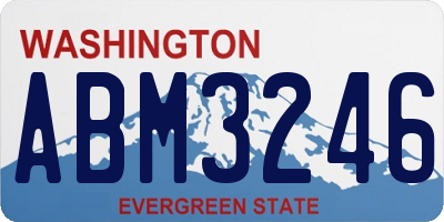 WA license plate ABM3246