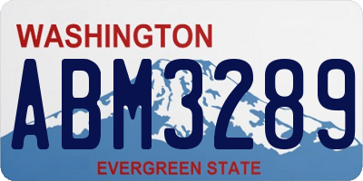 WA license plate ABM3289