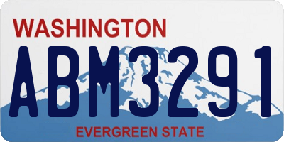 WA license plate ABM3291