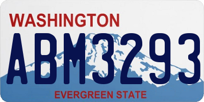 WA license plate ABM3293
