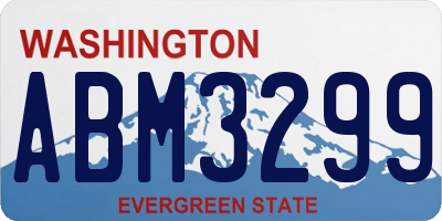 WA license plate ABM3299