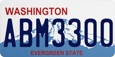 WA license plate ABM3300