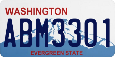 WA license plate ABM3301