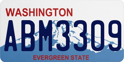 WA license plate ABM3309