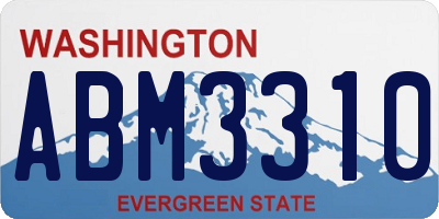 WA license plate ABM3310