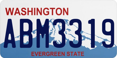 WA license plate ABM3319