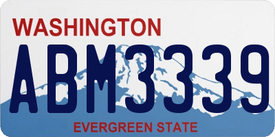 WA license plate ABM3339
