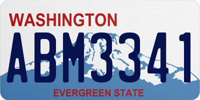 WA license plate ABM3341