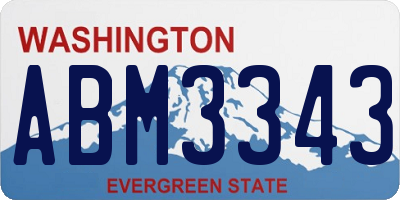 WA license plate ABM3343