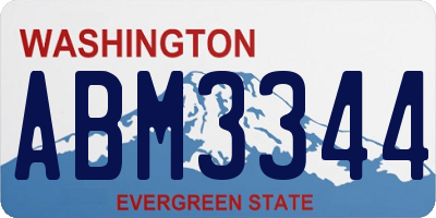 WA license plate ABM3344