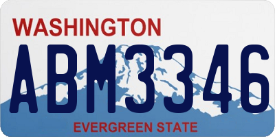 WA license plate ABM3346