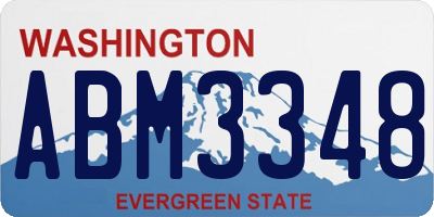 WA license plate ABM3348