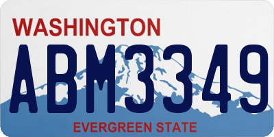 WA license plate ABM3349