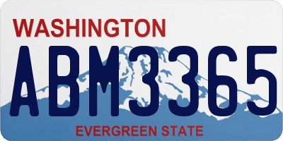WA license plate ABM3365