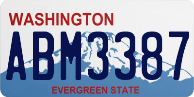 WA license plate ABM3387