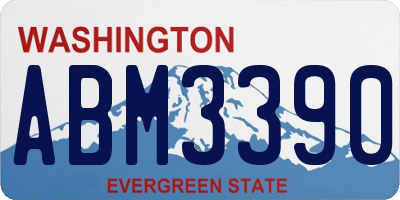 WA license plate ABM3390