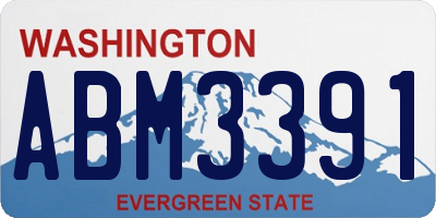 WA license plate ABM3391