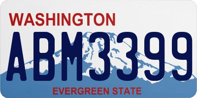 WA license plate ABM3399
