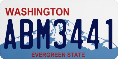 WA license plate ABM3441