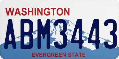 WA license plate ABM3443