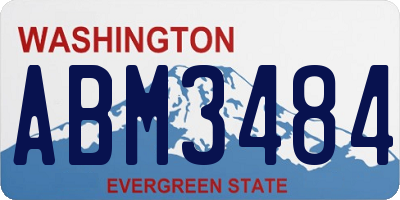 WA license plate ABM3484