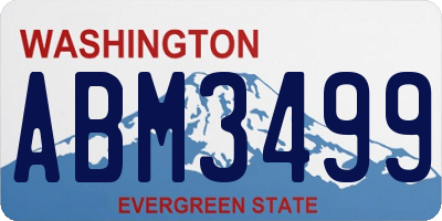 WA license plate ABM3499