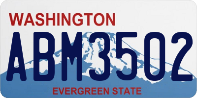 WA license plate ABM3502