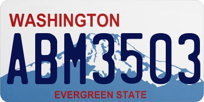 WA license plate ABM3503