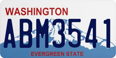 WA license plate ABM3541