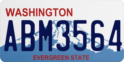 WA license plate ABM3564