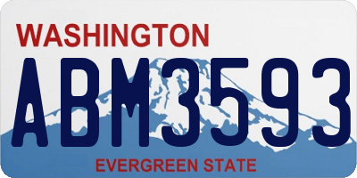 WA license plate ABM3593