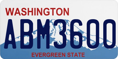 WA license plate ABM3600