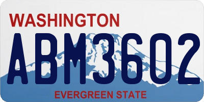 WA license plate ABM3602