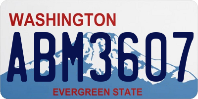 WA license plate ABM3607