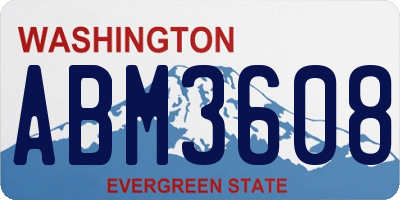 WA license plate ABM3608