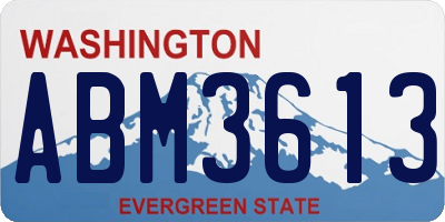 WA license plate ABM3613