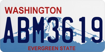 WA license plate ABM3619