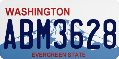 WA license plate ABM3628