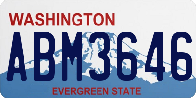 WA license plate ABM3646