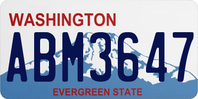 WA license plate ABM3647