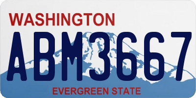 WA license plate ABM3667