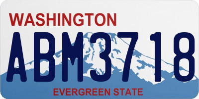 WA license plate ABM3718