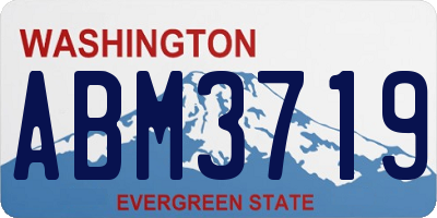 WA license plate ABM3719