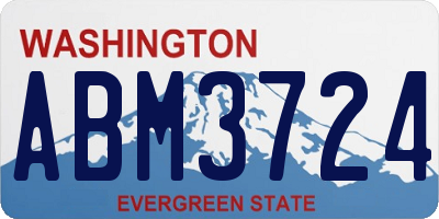 WA license plate ABM3724