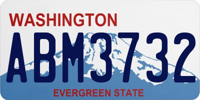 WA license plate ABM3732