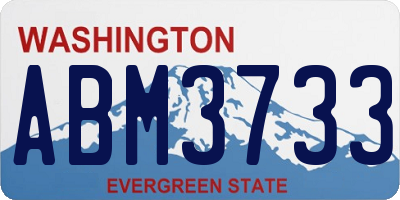 WA license plate ABM3733