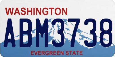 WA license plate ABM3738