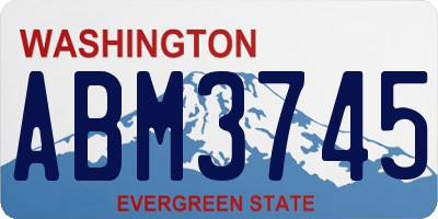 WA license plate ABM3745