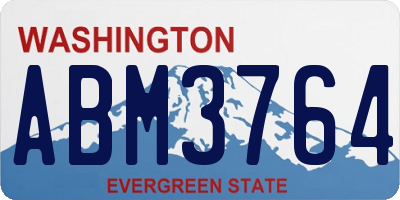 WA license plate ABM3764
