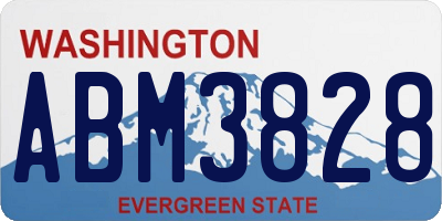 WA license plate ABM3828